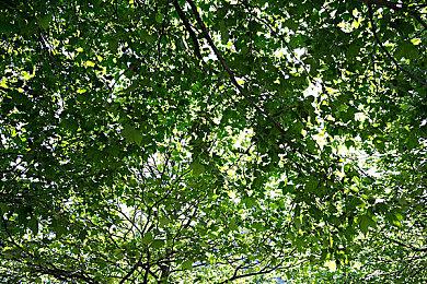 传Arkane开放世界FPS《红霞岛》2023年5月发售