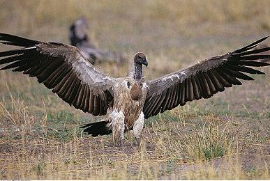 粉丝自制虚幻5引擎《半条命2》重制版演示