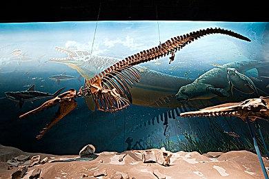 跟随节拍起舞，征服不灭之塔《节奏魔女 舞动的骷髅》现已正式发售